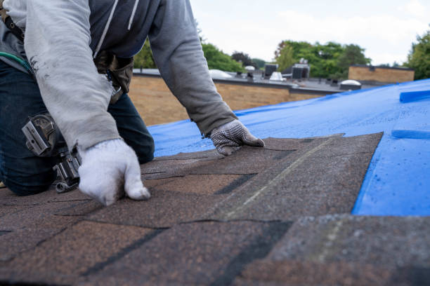 Best Residential Roofing Contractor  in South Waverly, PA