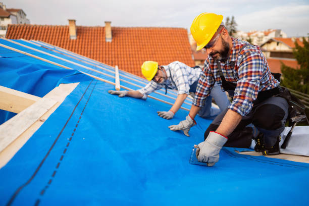 Roof Gutter Cleaning in South Waverly, PA