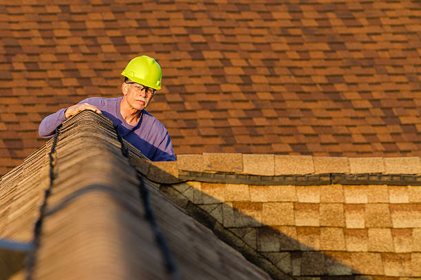 Best Local Roofing Companies  in South Waverly, PA